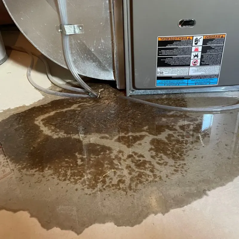 Pipe Burst and Leak Restoration in Demarest, NJ